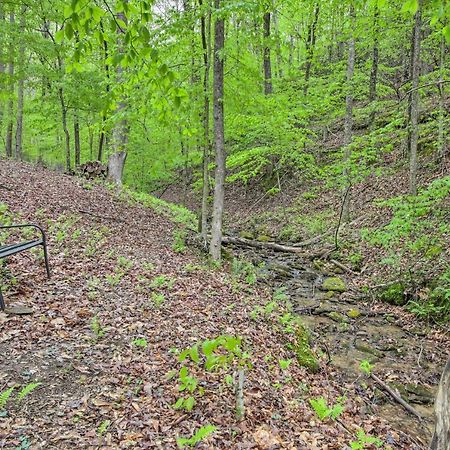 Peaceful Blue Ridge Cabin With Decks And Fire Pit Ngoại thất bức ảnh
