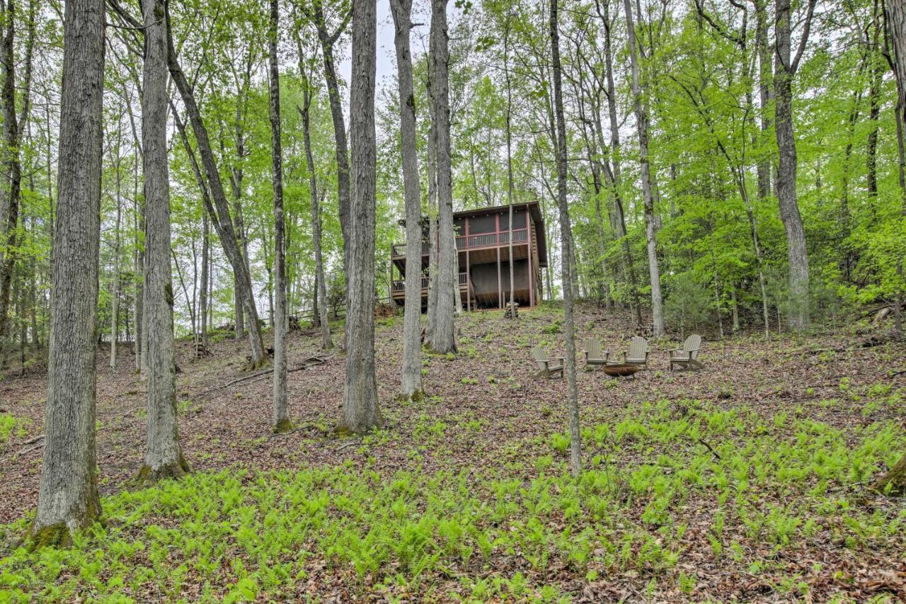 Peaceful Blue Ridge Cabin With Decks And Fire Pit Ngoại thất bức ảnh