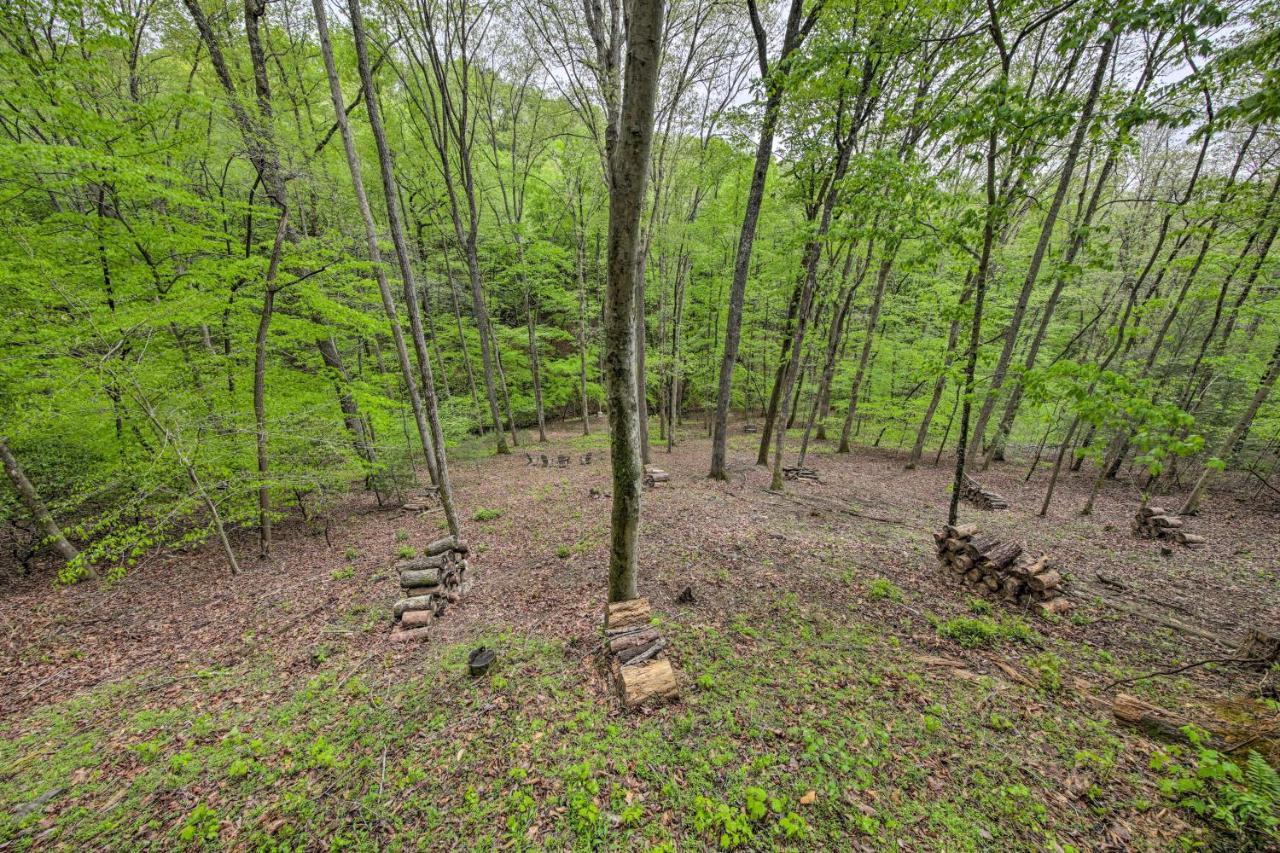 Peaceful Blue Ridge Cabin With Decks And Fire Pit Ngoại thất bức ảnh